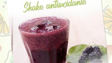 Shake antioxidante