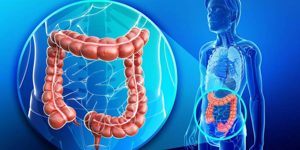 Investigação gastrointestinal