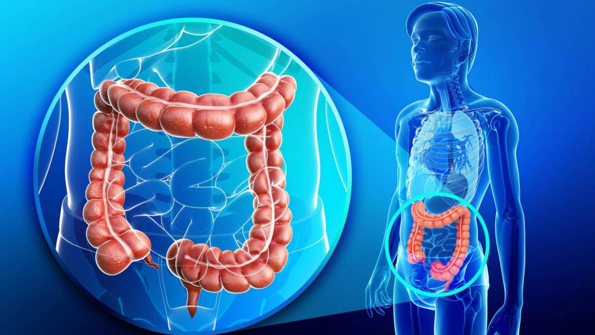 Investigação gastrointestinal