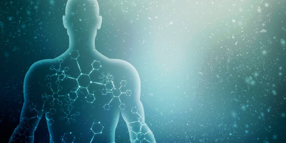 Tratamentos para limpeza e equilíbrio do organismo como um todo