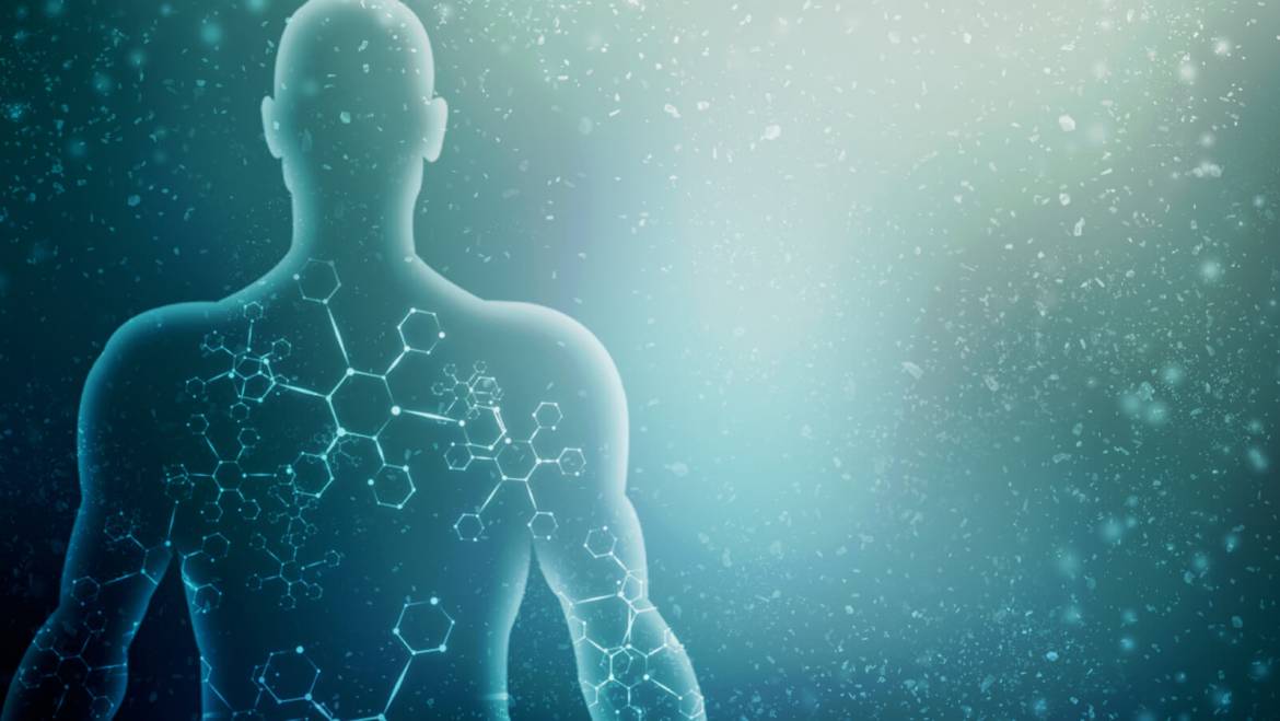 Tratamentos para limpeza e equilíbrio do organismo como um todo